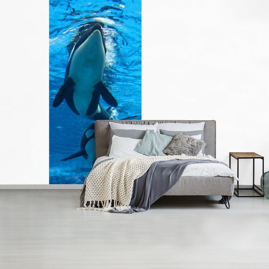 Papier peint photo Orcas - Deux Orcas sous l' eau largeur 120 cm x hauteur 240 cm - impression photo sur papier peint en vinyle (disponible en 7 tailles) - chambre / chambre / bureau de vie