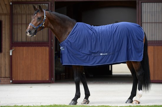 Bruin paard draagt een marineblauwe Bucas-deken met wit logo in een stal.