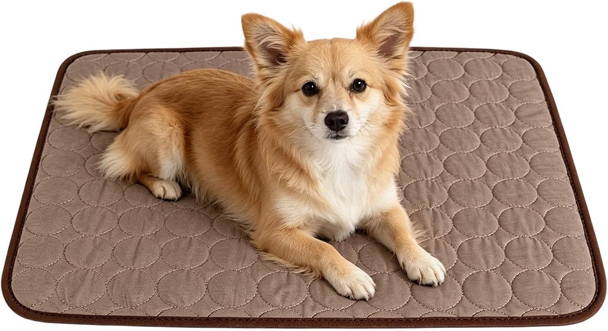 Verkoelende Mat - Huisdierenmat - Hond Koel Houden - Ademende IJszijde - 34x25 cm - Koffie