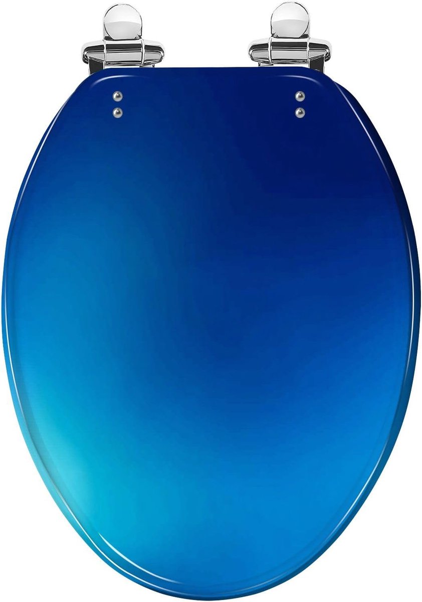 Langwerpige toiletbril - Zachte hars bril - Badkamer vernieuwen - Langzaam sluitend deksel - 185 inch lang - Blauw verloop