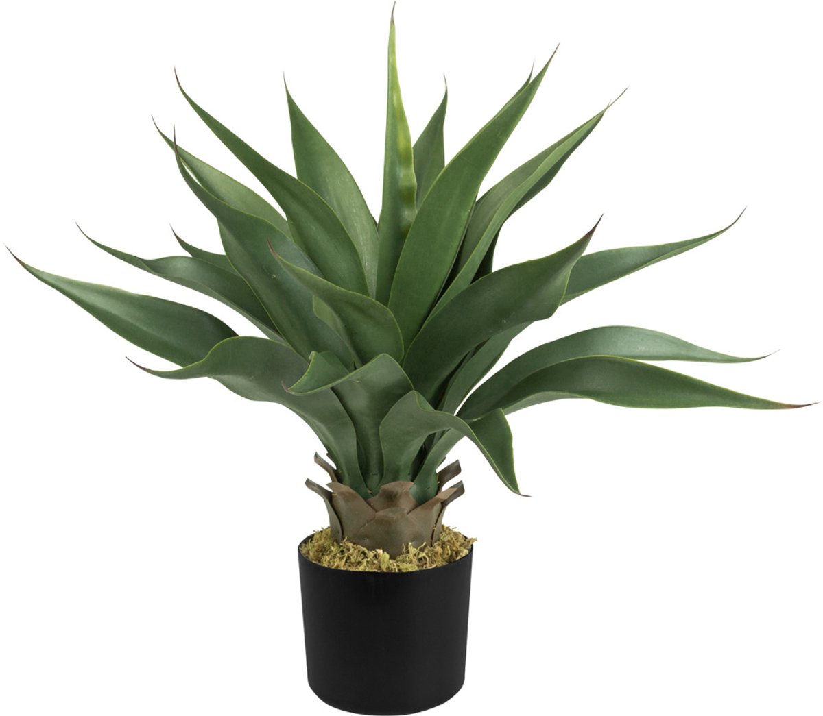 Decovego Kunstmatige Aloë Vera Kamerplant, Kunststof Plant, 54 cm voor Binnen, Gemakkelijk te Verzorgen en Decoratief