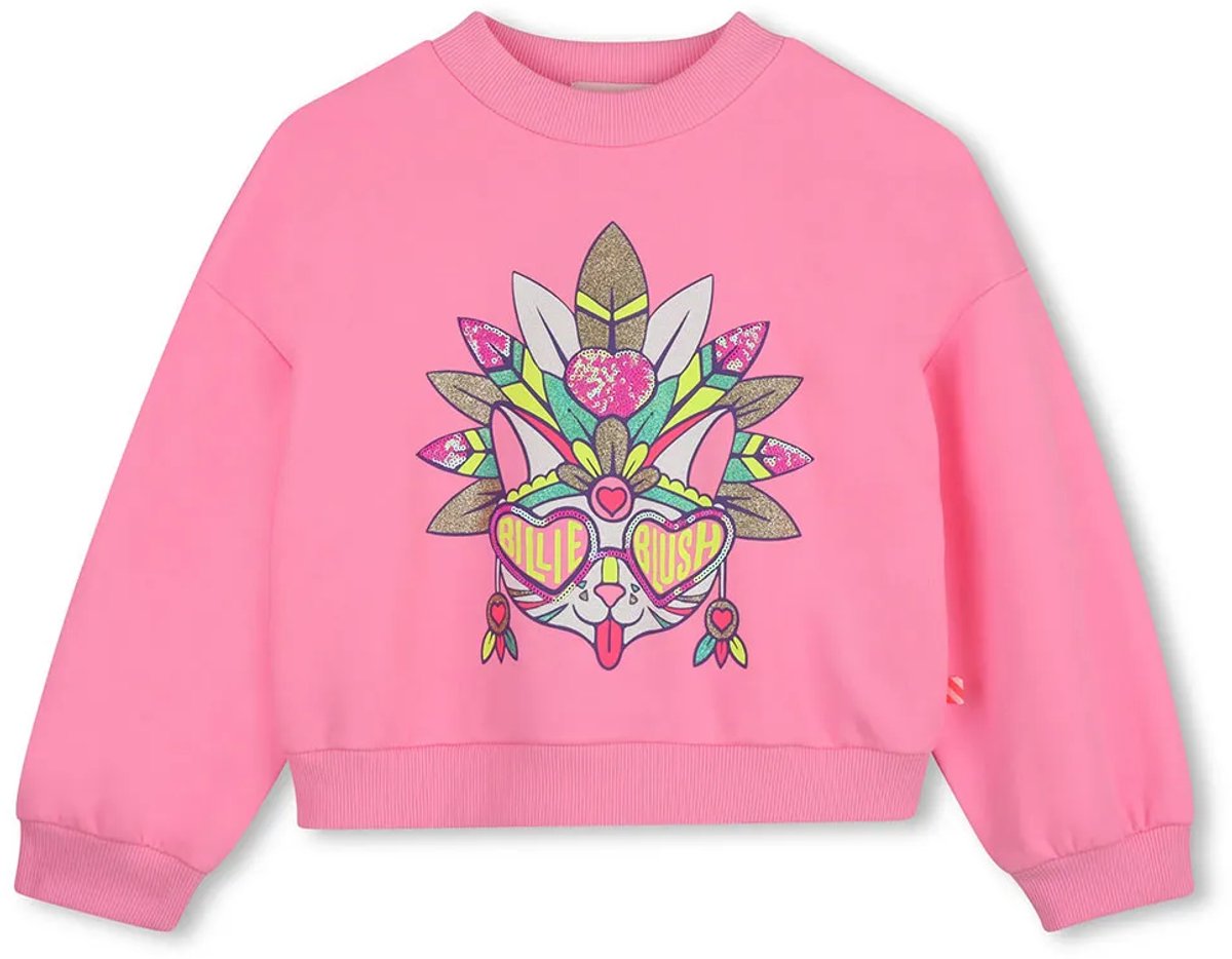 Billieblush U22401 Sweatshirt Roze 10 Years Meisje