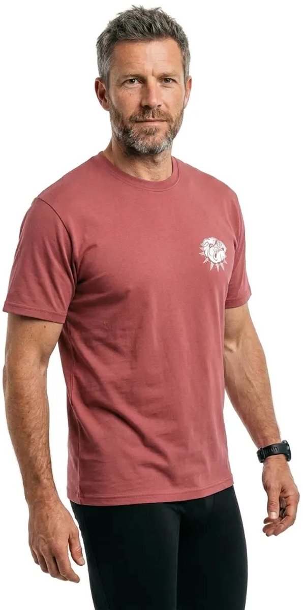 Vans Bully T-shirt Met Korte Mouwen Roze M Man