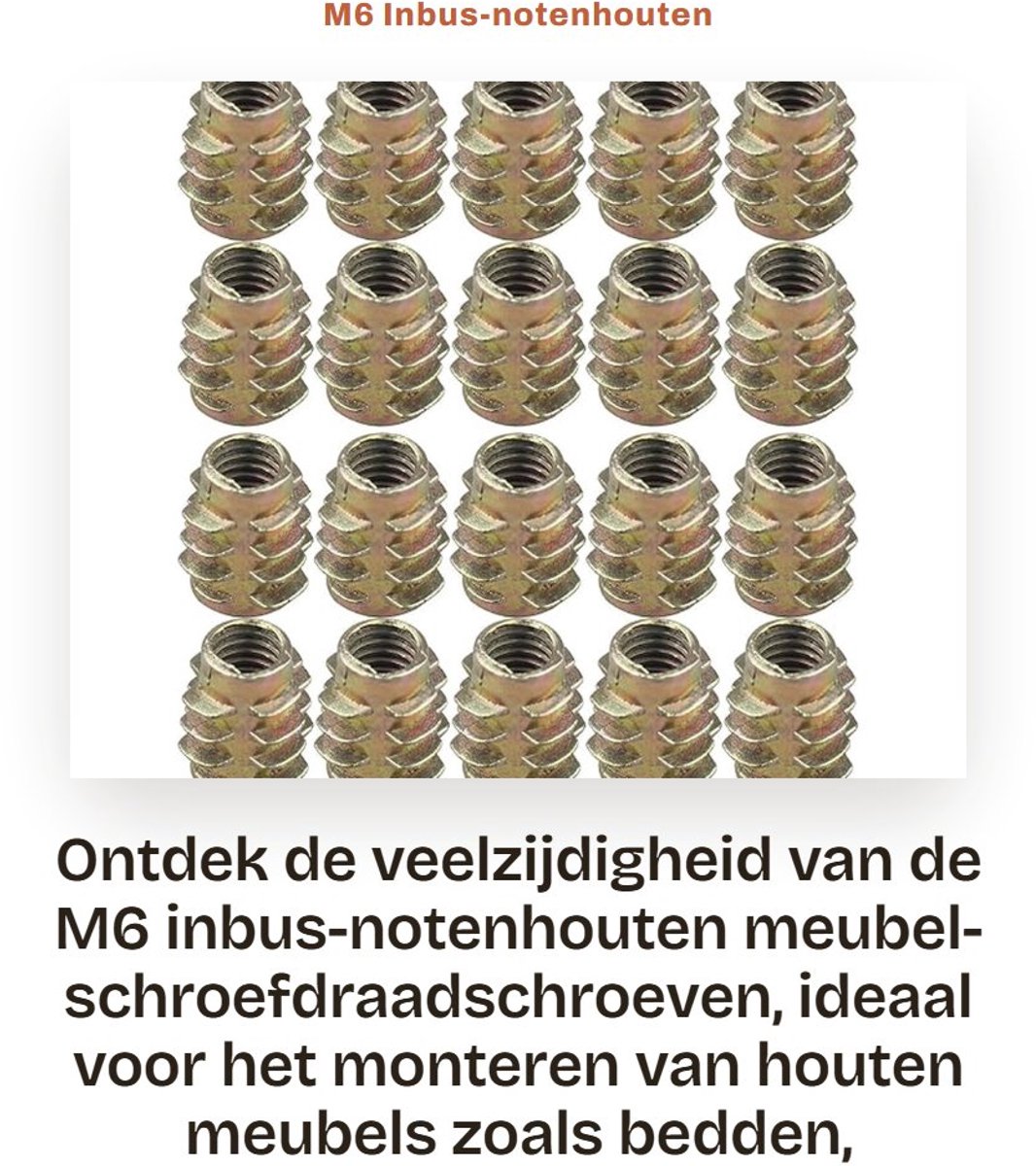 Dailygoods- Inbus-schroeven M6 - 20 Stuks - Houten Meubels - Antiroest - Eenvoudig te Installeren - Verzinkt Ijzer - Meubelschroeven