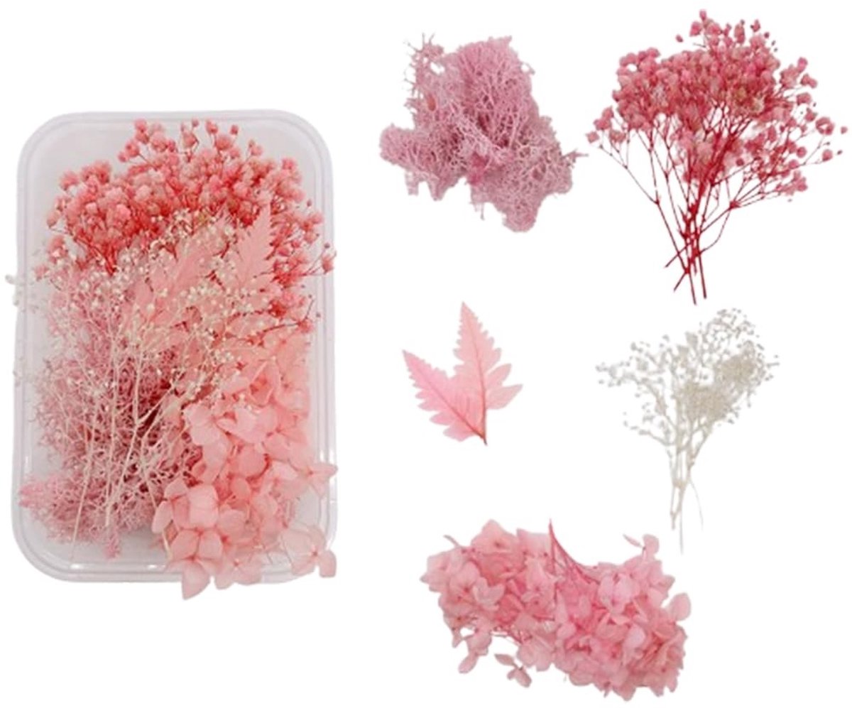 Dailygoods - Gedroogde bloemen, gedroogde bloemen om te knutselen, gedroogde bloemen, kleine droogbloemen voor kunst, knutselen, hars, scrapbooking, handwerk, kaarten maken.
