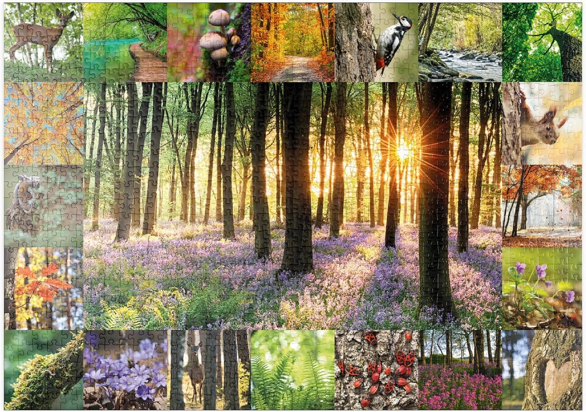 Legpuzzel Bosbaden - Collage Nr 1 - Ontspannen Puzzelen - Premium Kwaliteit Karton - 1000 Stukjes - Natuurlijk