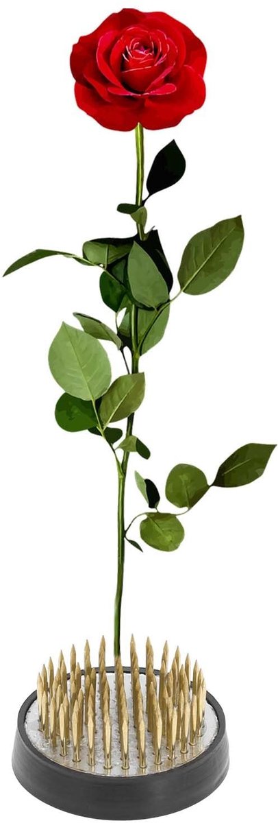 Dailygoods- Bloemenkikker - Koperen Kikker - Speld 40 mm - Bloemenstandaard - Bloemstukken - Hoogwaardige Materialen - Bloemschikking