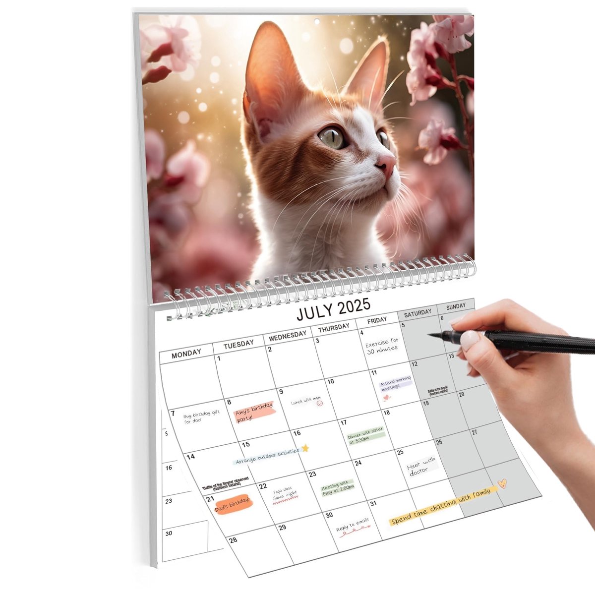 Dailygoods- Wandkalender 2025-2026 - 20 Maanden - Kat Ontwerpplanner - 11x8.5 Compact Formaat - 40% Dikker Papier - Ideaal voor Thuis en Kantoor - Planningskalender