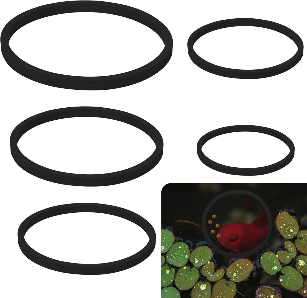 SnelShoppen - 5Pcs Aquarium Floating Plant Rings, Foam Floating Plant Bead, Zwart, Voor het Bevestigen van Drijvende Planten in Aquariums