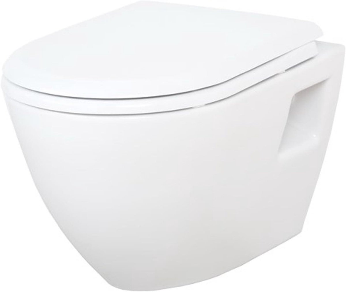 Hangend Toilet - Bidet Toilet - Intieme Verzorging - Geïntegreerde Douchefunctie - 49.8 cm Kort - Wit