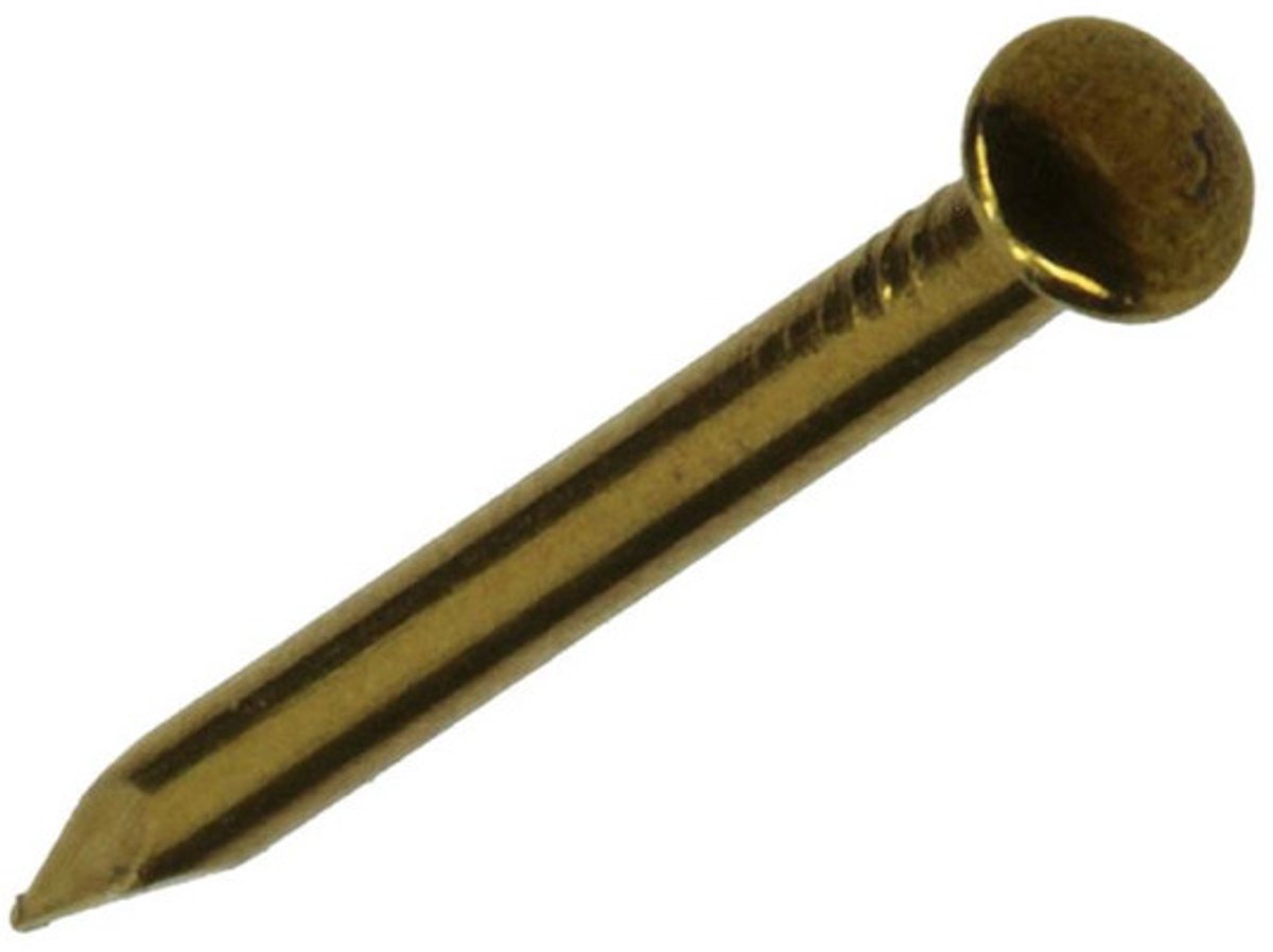 SAM Nagel bolle kop 1,5x20mm G4 815144 20 stuks