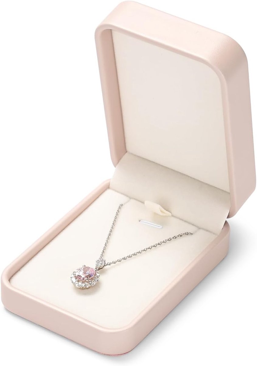 SnelShoppen - Necklaces Storage Jewelry Organizer Box - Luxe Hars en Fluweel - Roze - Voor Pendant Necklaces en Sieraden - Perfect als Verjaardagscade
