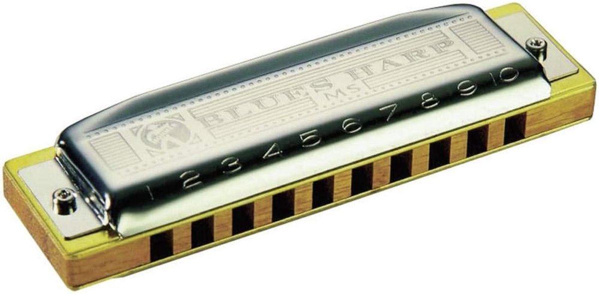 SnelShoppen - Blues Harp Mondharmonica C-Dur - Roestvrij staal, Houten Lichaam, 20 Stemmen - Perfect voor Blues, Feest en Muziek