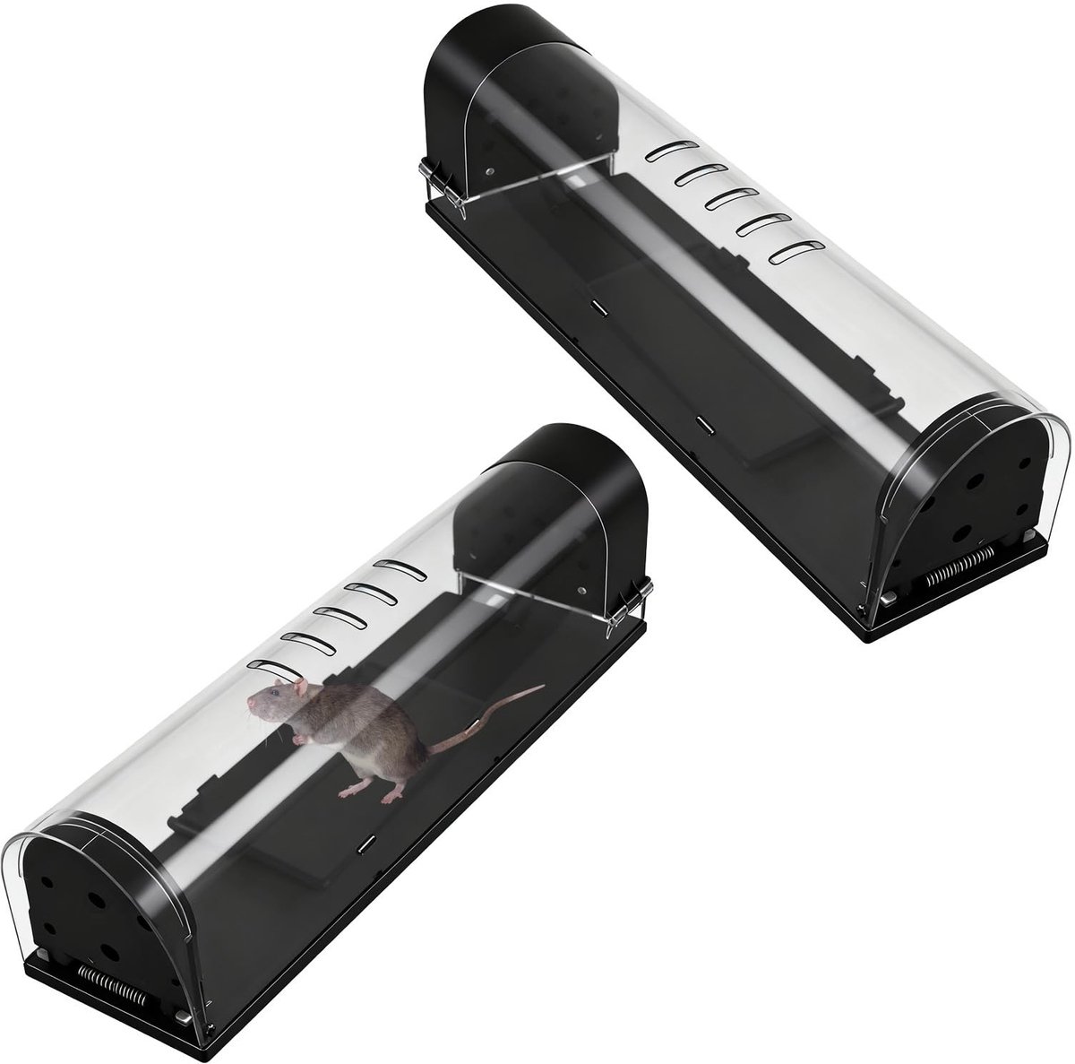 Dailygoods - Levende muizenval, humane rattenval met doorzichtige afdekking (set van 2), meervoudig bruikbare levende val voor ratten, huisdier- en kindvriendelijk, ideaal voor binnen en buiten