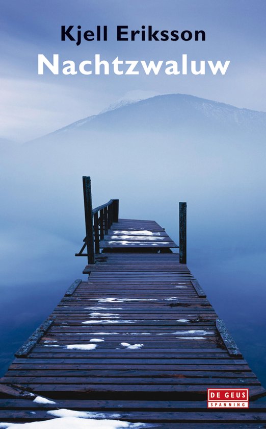 Een houten pier met sneeuw erop leidt naar een mistig meer, met bergen op de achtergrond. Titel: Nachtzwaluw.