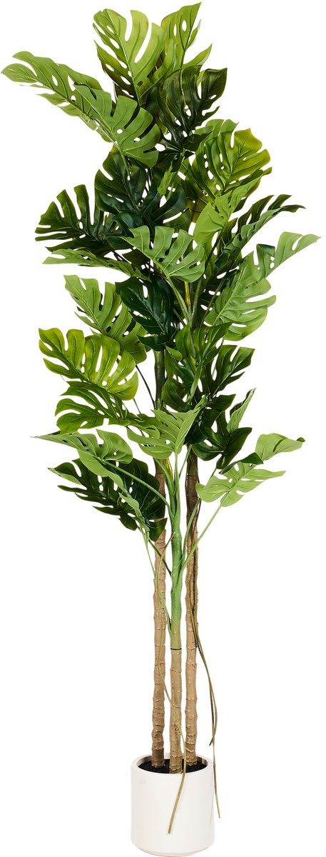 Beliani MONSTERA PLANT - Kunstplant - Groen - 221 cm - Synthetisch