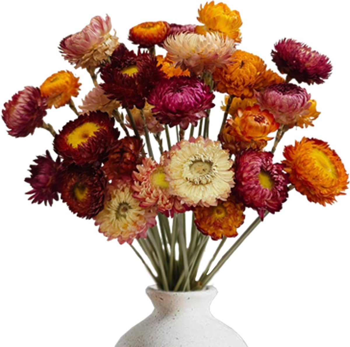 20 Stuks Natuurlijke Gedroogde Bloemen, Decoratieve Chrysanten voor DIY Bloemstukken, Bruiloften en Versieringen in Diverse Kleuren
