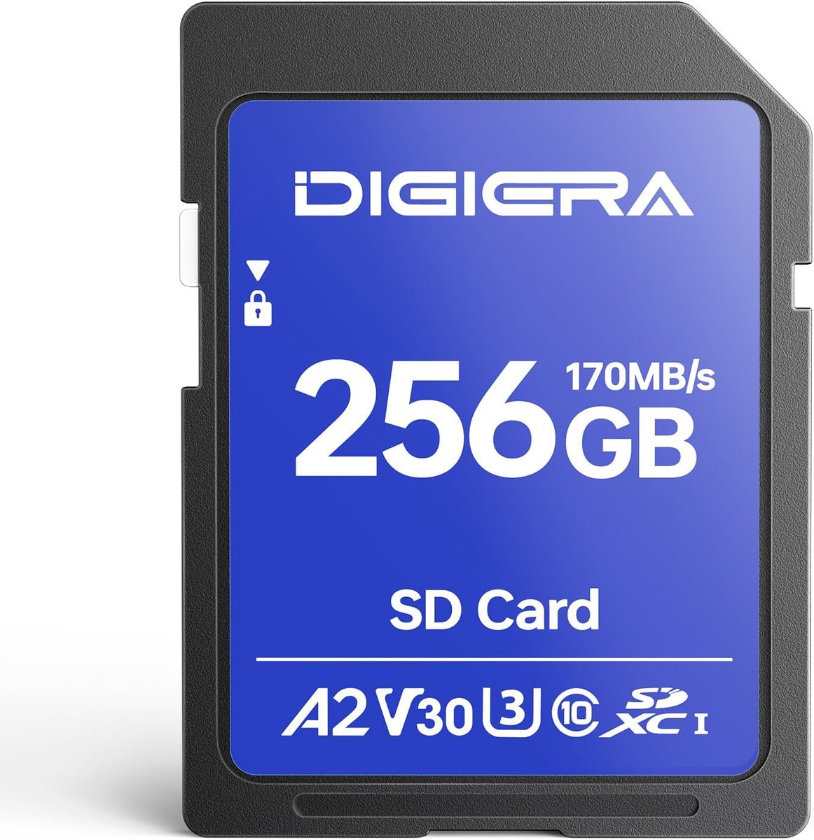 Thijox - 256 GB SDXC UHS-I Geheugenkaart - Tot 170 MB/s, C10, U3, V30 - Ideaal voor 4K UHD Video's, Digitale Camera's, Computers en Navigatiesystemen