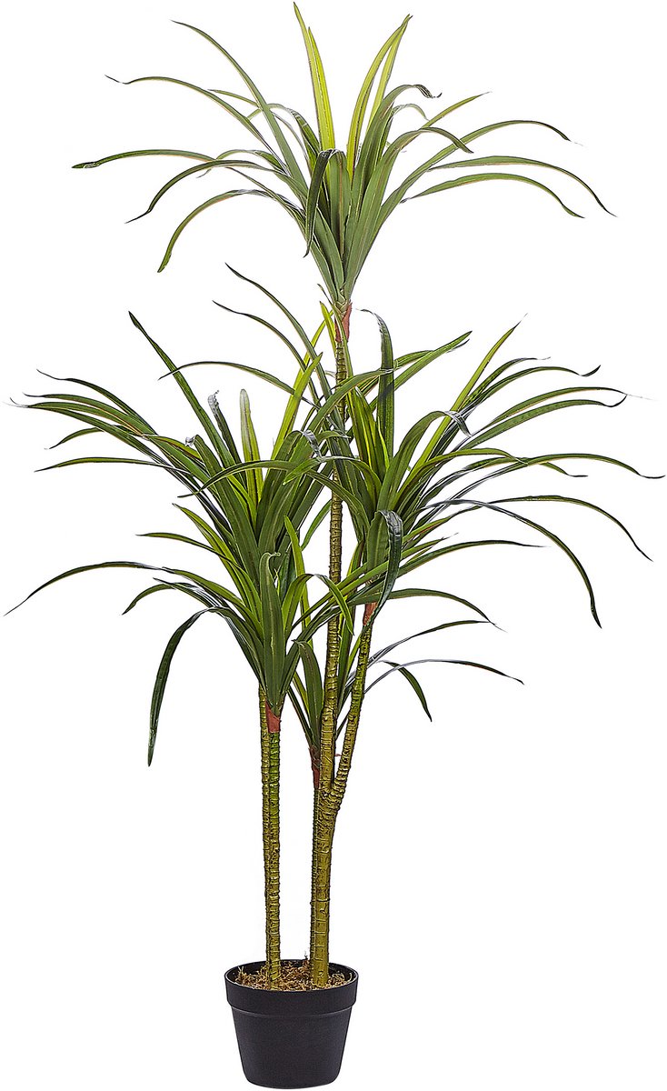 Beliani DRACAENA ANITA - Kunstplant - Groen - Synthetisch materiaal