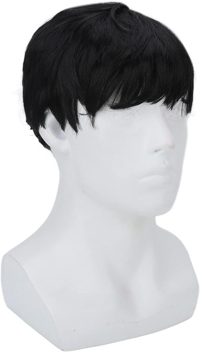 Korte herenpruik - Fluffy ademend en knipbaar - Zwart - Perfect voor dress-up feesten - ShopVlot