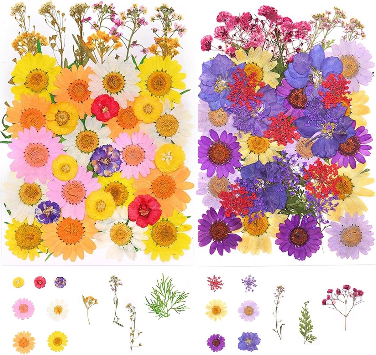 Gedroogde bloemen set 81 stuks - Natuurlijke geperste bloemen - Divers kleuren en vormen - ShopVlot