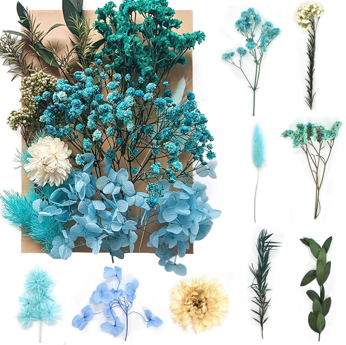 Solidchoice - Natuurlijke Gedroogde Bloemen voor Decoratie en Knutselen