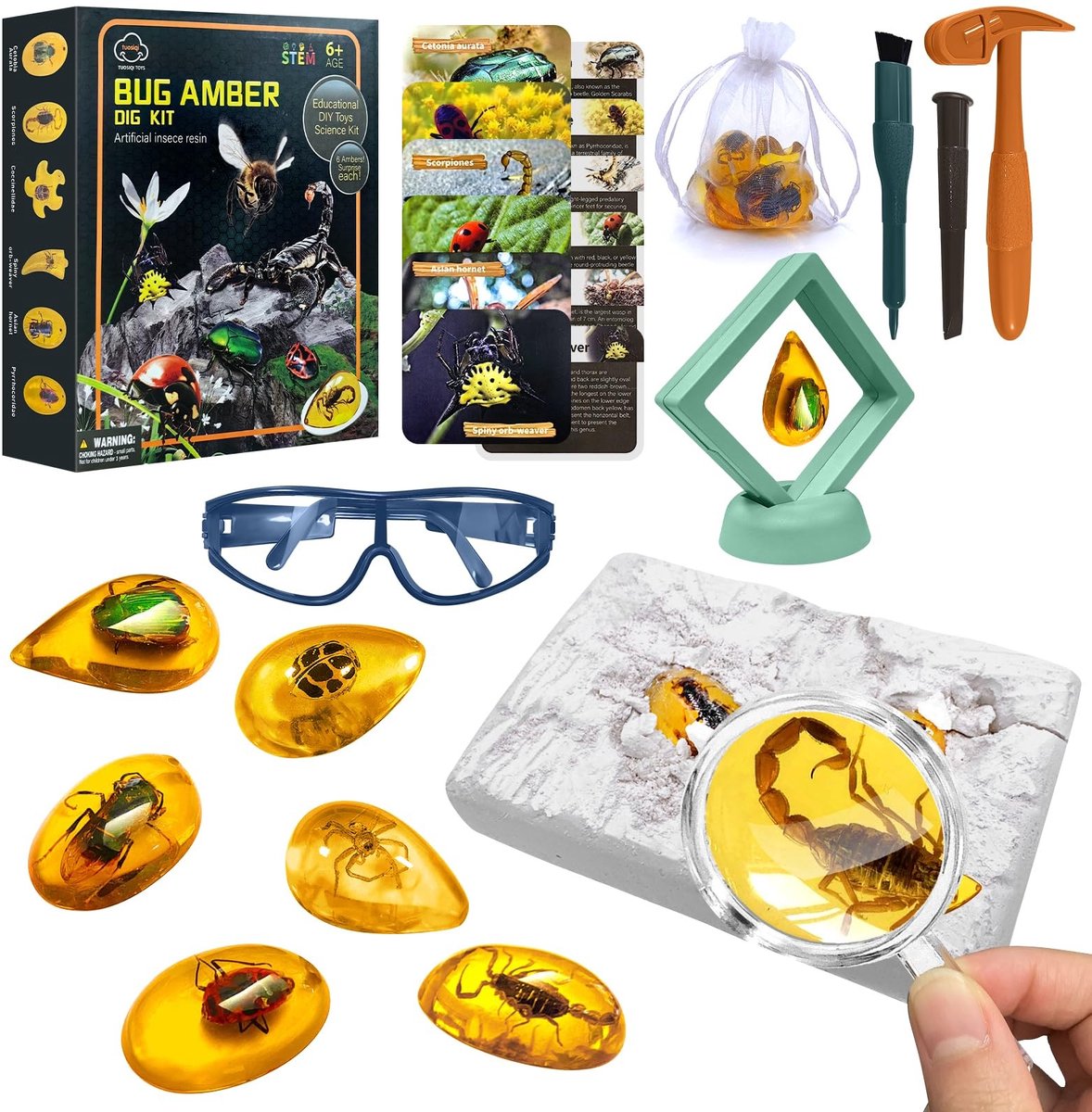 Solidchoice - Fossiele Opgravingsset met Amber en Insecten voor Kinderen