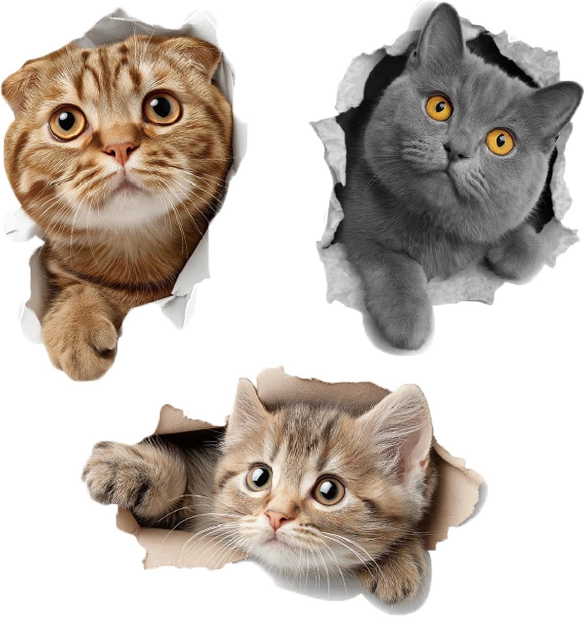 3D-kattenstickers voor de muur - zelfklevend pvc - realistisch ontwerp - ideaal voor badkamer en keuken - ShopVlot