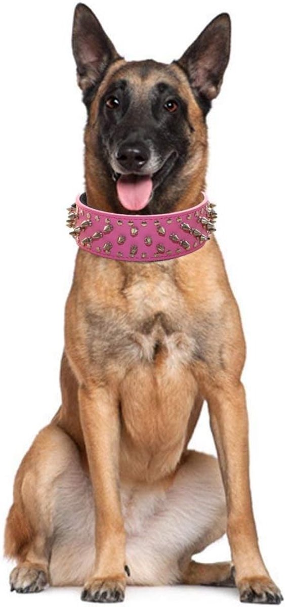 Halsband voor honden medium groot - kunstleer met spikes - stevig en stijlvol - perfect voor actieve honden - ShopVlot