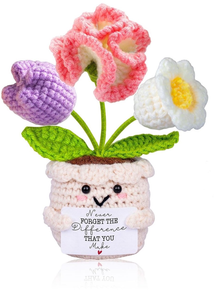 Solidchoice - Handgemaakte Gehaakte Anjer Bloemen in Pot als Cadeau