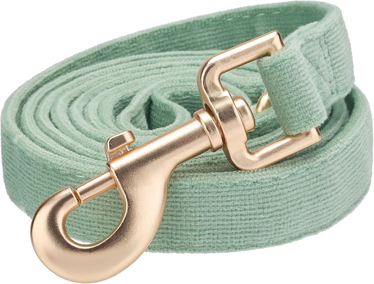 Soft Corduroy Dog Leash Small 1.5 x 150 cm, Sage Green - ShopVlot