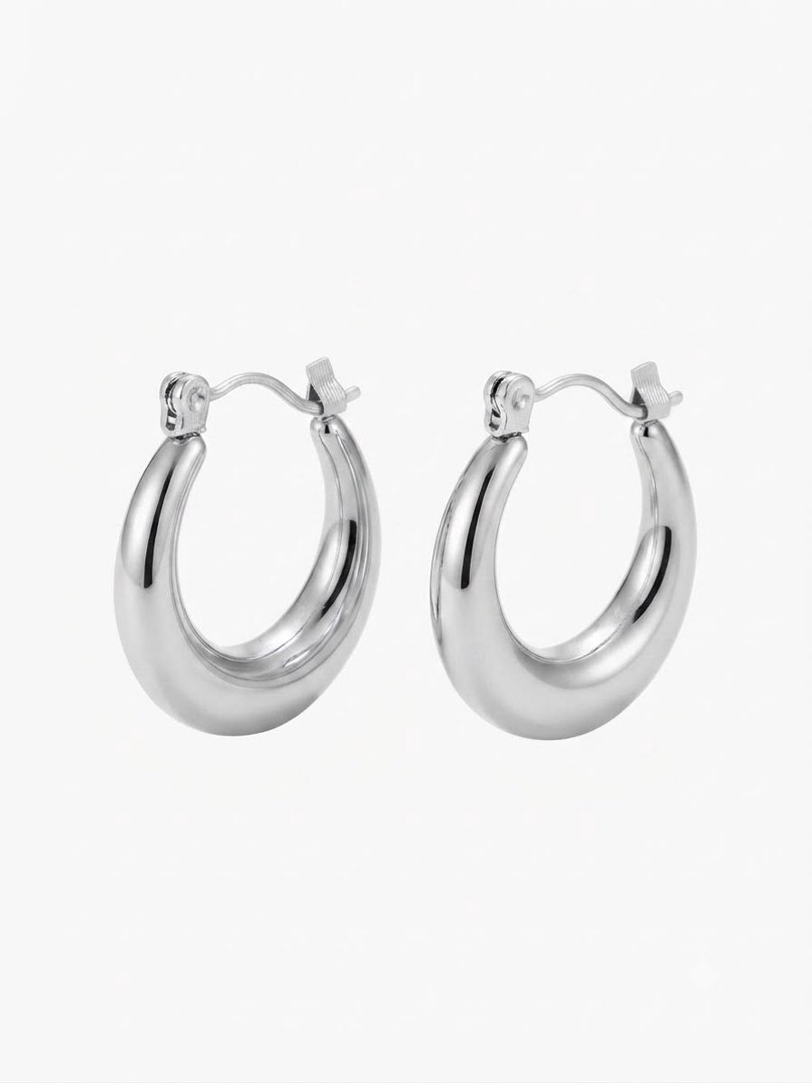 Oorringen Dames – Zilverkleurige Oorbellen Dames – Breed Model – 316L Chirurgisch Staal – 20 mm