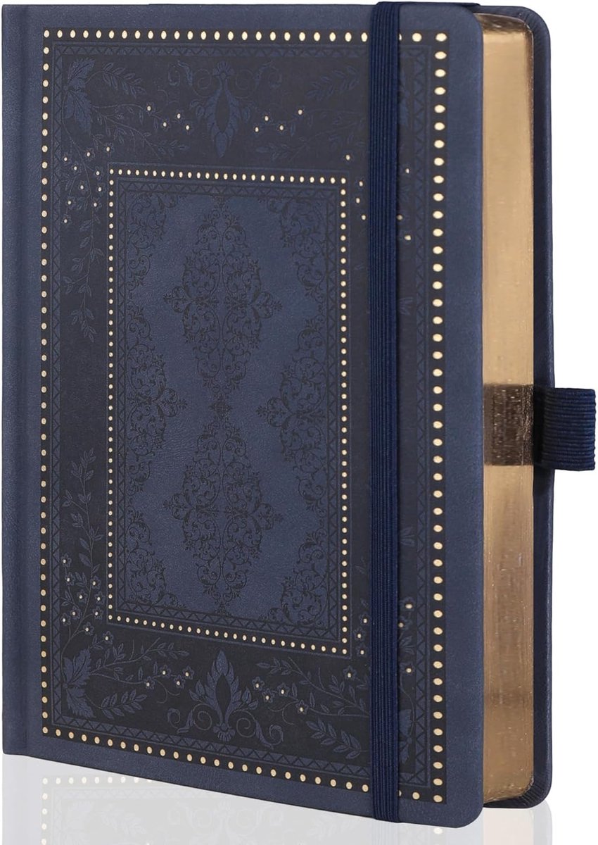 Puntendagboek voor vrouwen en mannen - 160gsm dik papier - 190 genummerde pagina's - ideaal voor plannerorganisatie - ShopVlot