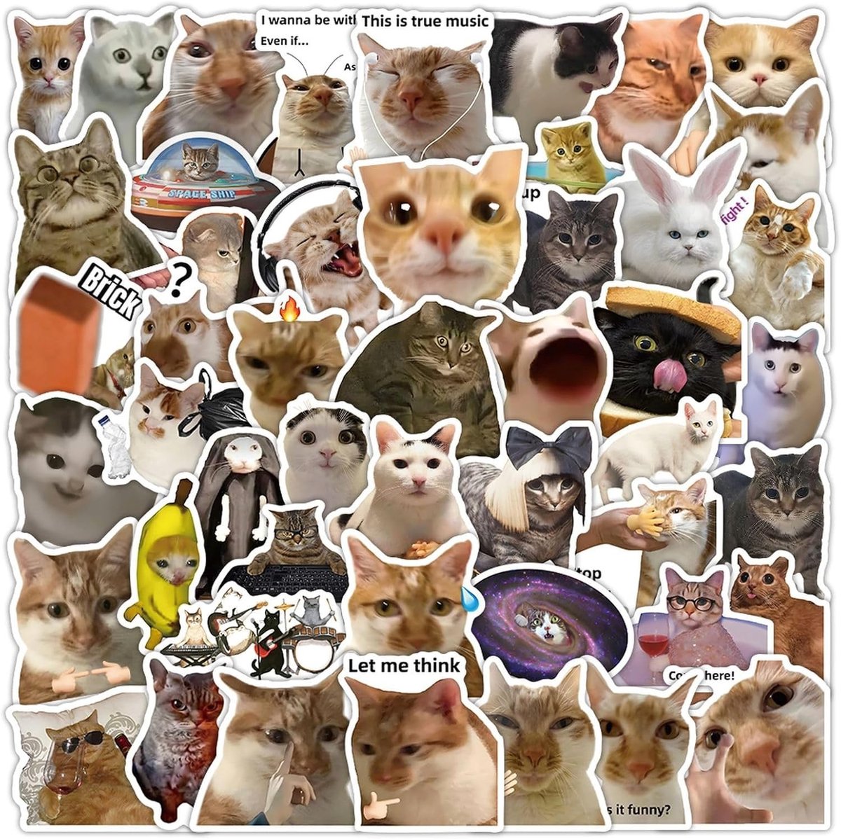 Grappige kattenmestickers, 56 stuks, waterdichte vinylstickers voor laptops, telefoons en drinkflessen, met realistische foto's en leuke spreuken