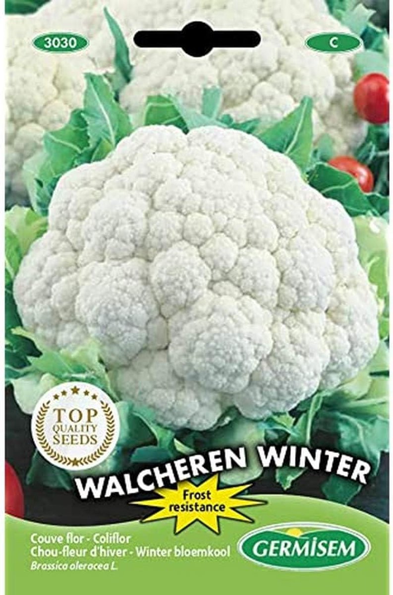 SnelShoppen - Winter Bloemkool Zaden 5 Stuks - Weerbestendige Cauliflower - 0.5 g - Gemakkelijk te Koken - Heerlijke Smaak - Tuin en Keuken