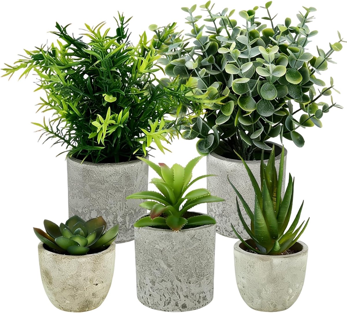 SnelShoppen - Pack van 5 Kunstplanten, Mini Kunstplanten Slangentong, Agave Succulent, Adelaarsklauw Aloë, Realistische Decoratie voor Slaapkamer, Kan
