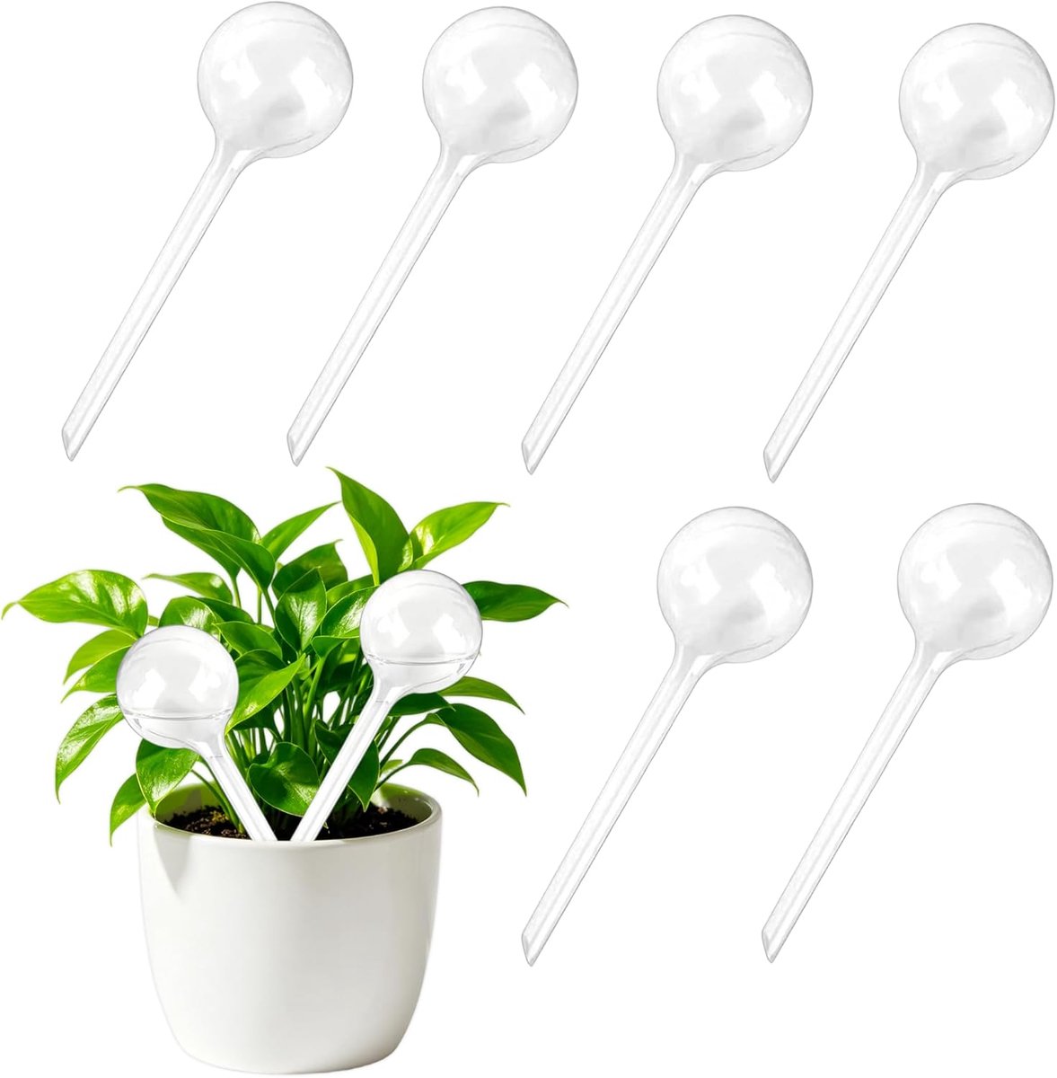 Alluring Waterballen voor planten, 6 stuks, 80 ml, zelfbewatering, waterballen voor planten, bloemen, waterdispenser - ShopVlot