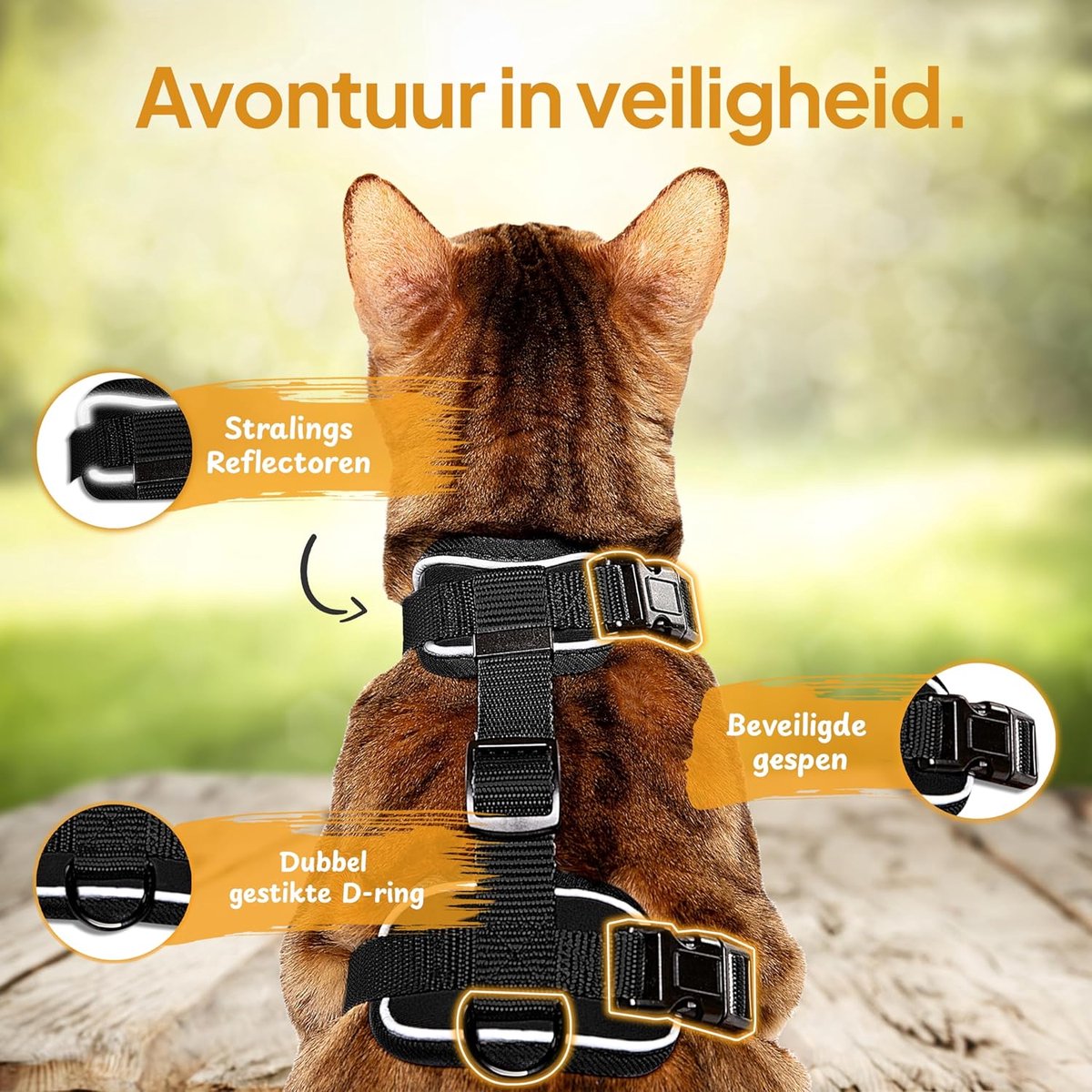 SnelShoppen - Kattenharnas met Leash voor Kleine en Grote Katten, Veiligheidsharnas met Verstelbare Leiding, Comfortabel Zacht Mesh, Zwart, Perfect vo