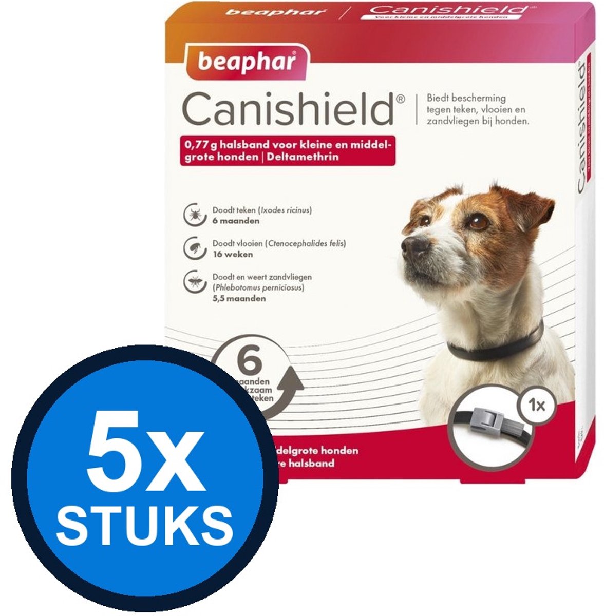 Perfect Fit Indoor Adult 1+ Brokjes - Kip - Kattenvoer - 6 x 750g