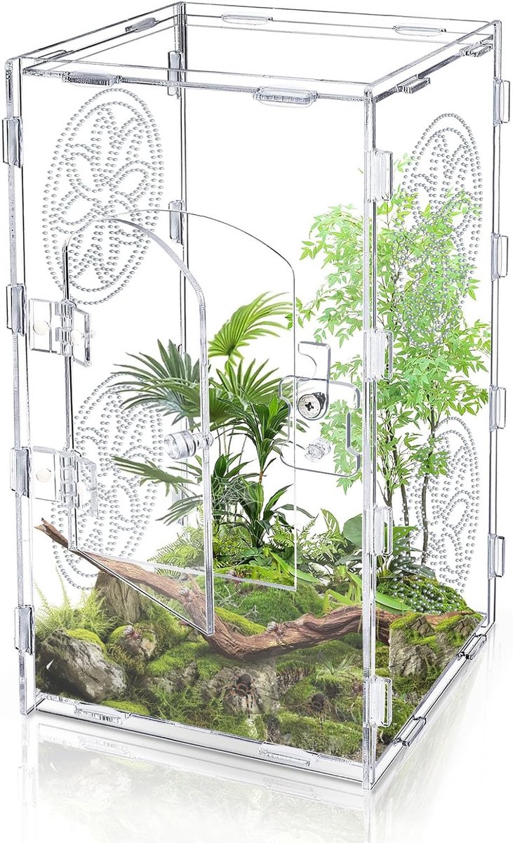 SnelShoppen - Acryl Tarantula Behuizing 30x15x16 cm met Ventilatiegaten, Ideaal voor Springende Spinnen, Inclusief Voordeur, Dierenaccessoires voor Te