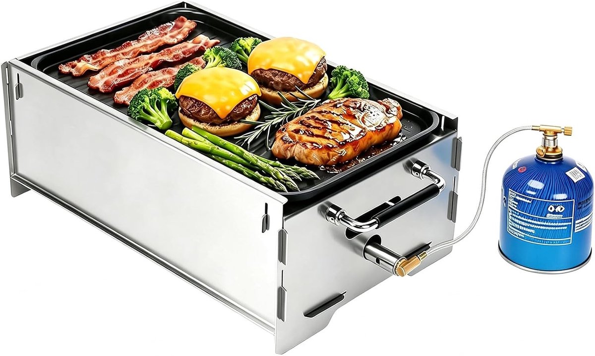 Plancha barbecue - Roestvrij staal - 49,5 x 26,2 x 16 cm - Draagbare gas- en houtskoolgrill voor outdoor gebruik