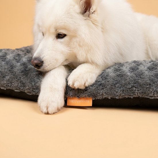 Close-up van een witte hond die op een grijs kussen rust.