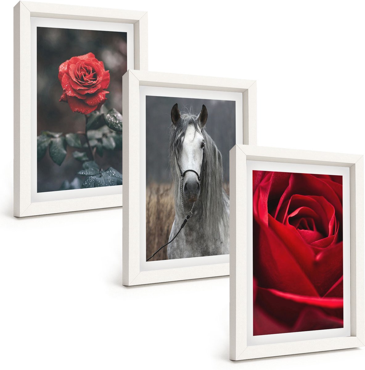 Wallfluent 3-Delige Schilderij Set - Rode Rozen En Een Paard In Een Grijze Omgeving - 20 x 30 - Wanddecoratie - Schilderijen Set - Kantoor - Decoratieve Schilderijen