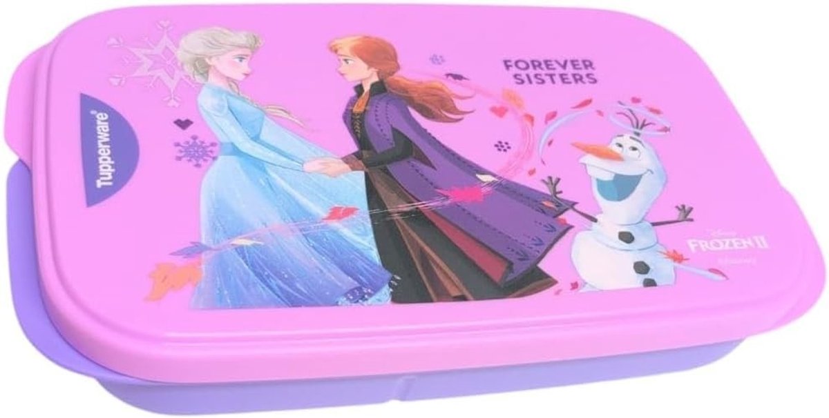 Lunchbox met verdeler - 590 ml - paars - voor school
