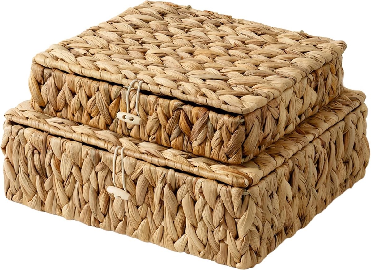 Handgemaakte Wicker Opbergmanden met Deksel, Decoratieve Rieten Opbergdozen voor Planken, Set van 2, Ideaal voor Organisatie en Interieurdecoratie