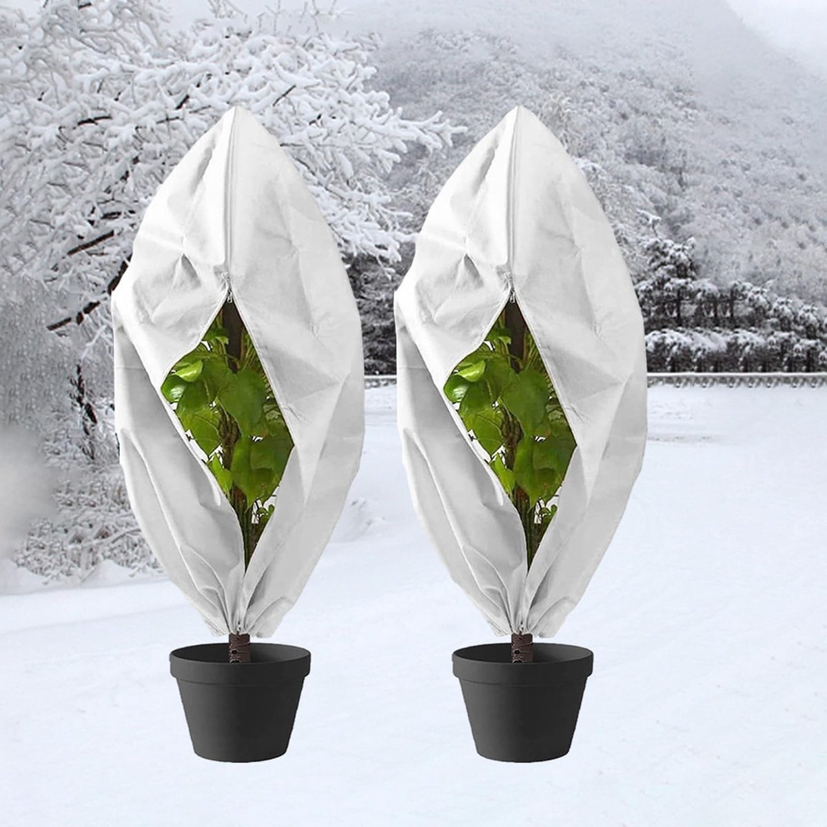 Plantbeschermhoes - 2 Stuks - Winterbescherming voor Planten