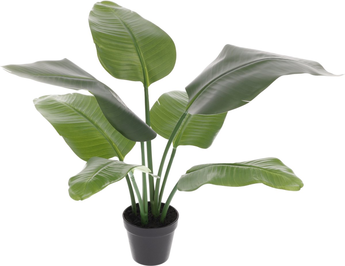 Strelitzia Nicolai kunstplant 60cm
