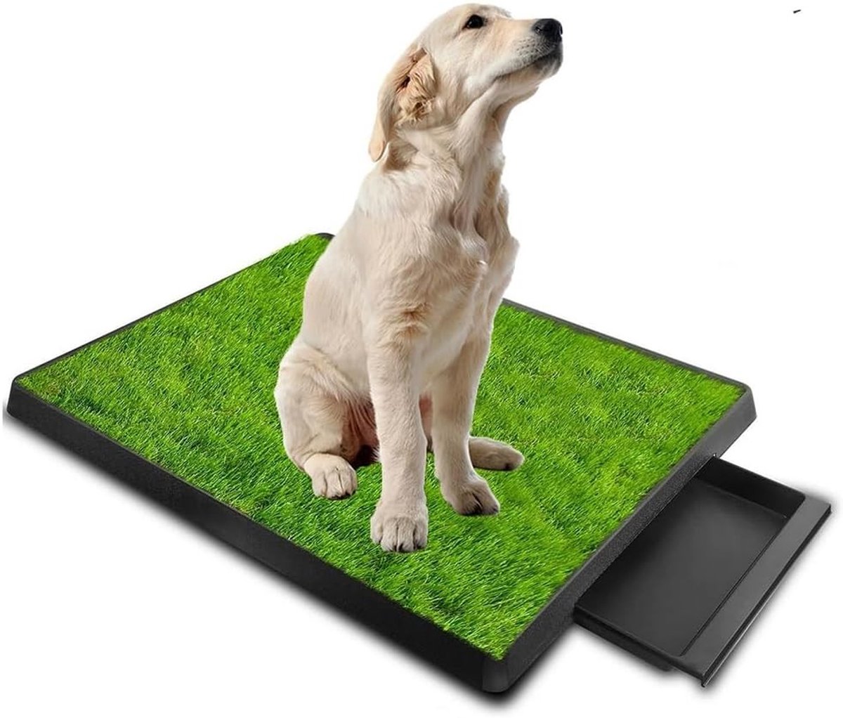Indoor Honden Toilet Training Tapijt met Urine Scheider en Grote Tray, Makkelijk Schoon te Maken, Ideaal voor Puppy Training en Zindelijkheidstraining (64 x 51 cm)