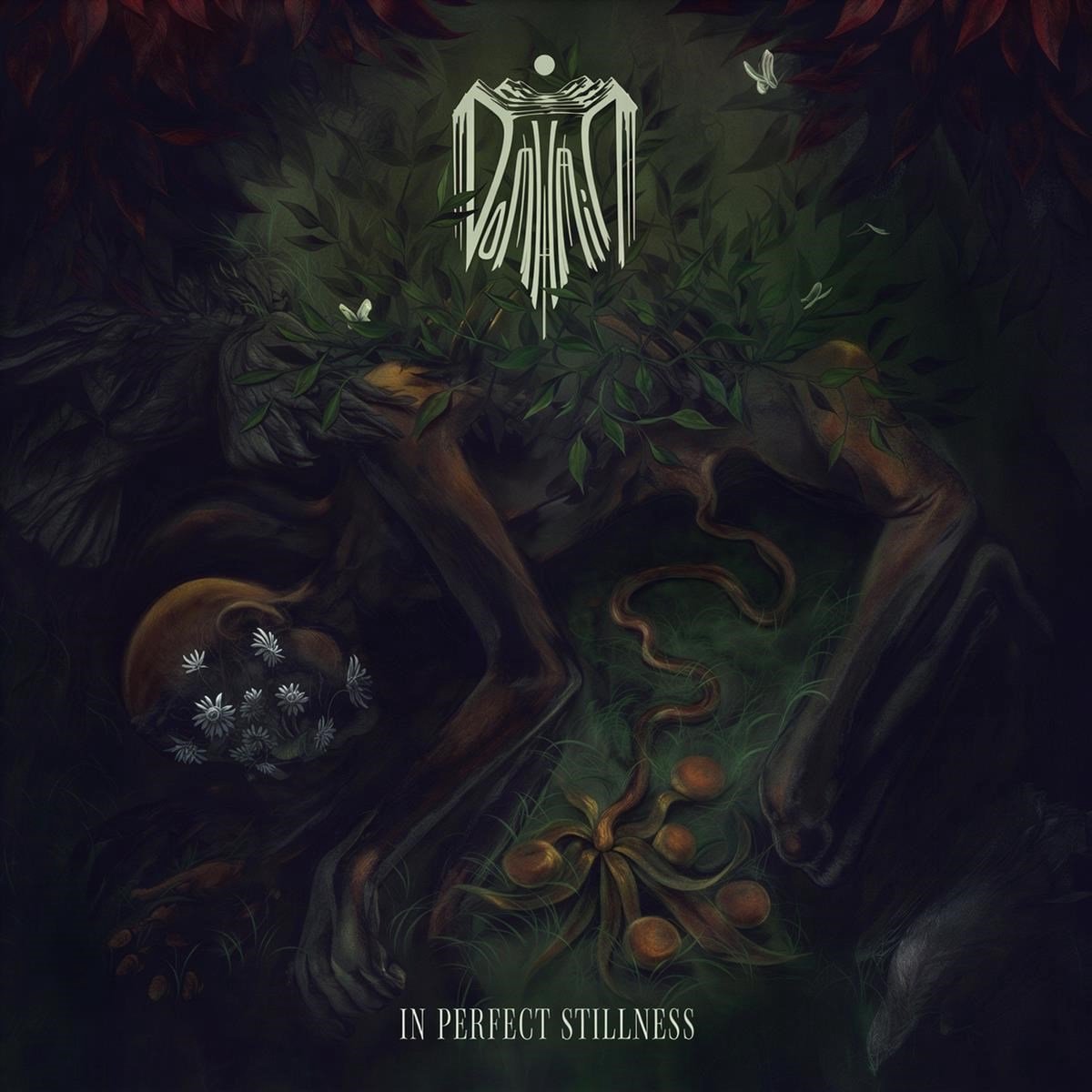 Domhain - In Perfect Stillness (CD)