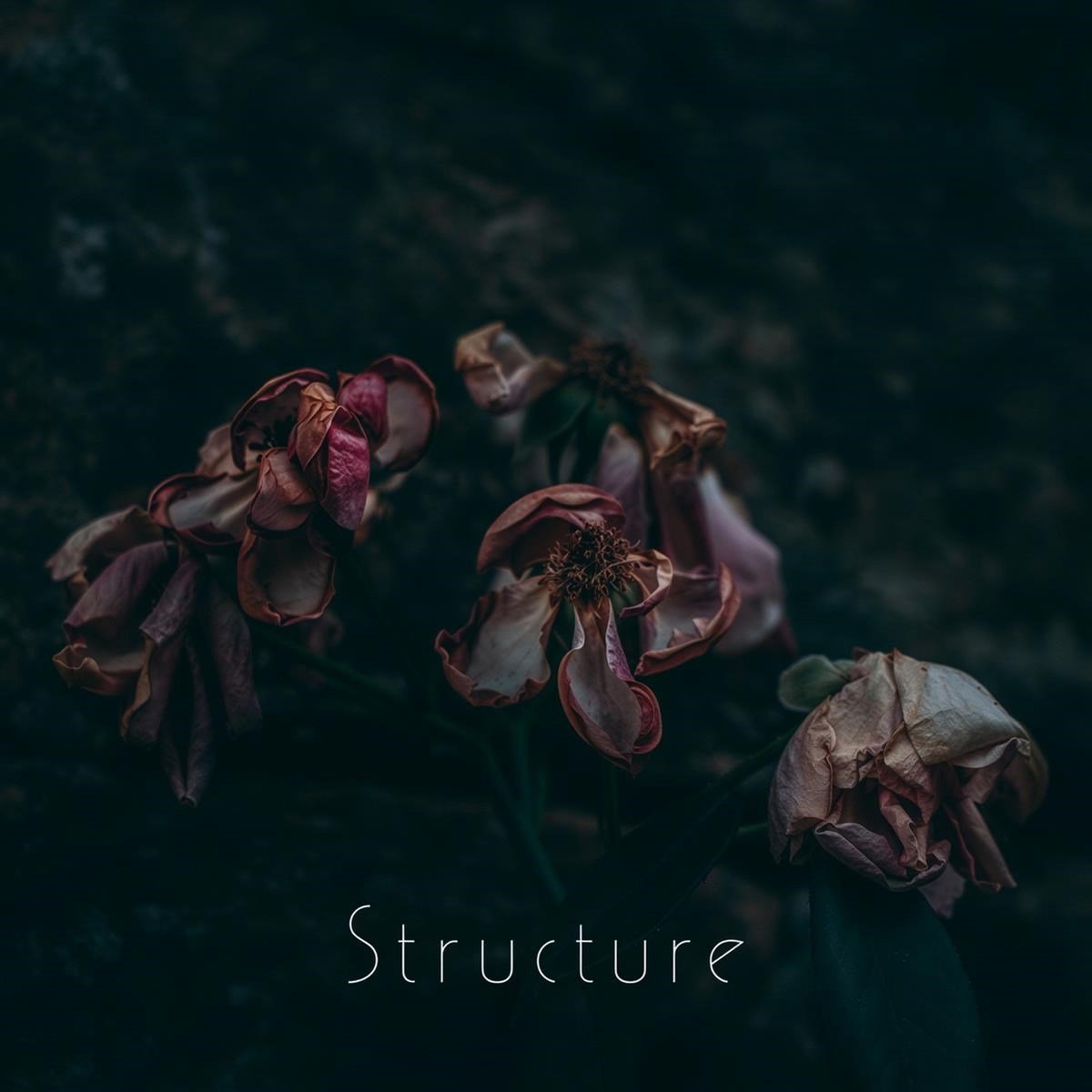 Structure - Structure (CD)
